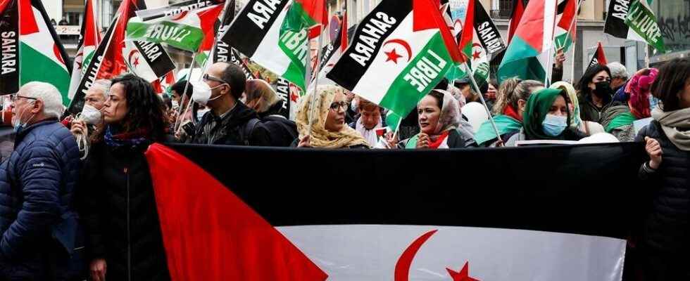 demonstration in Madrid in support of the Polisario Front