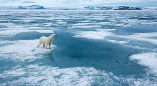 reduce methane emissions to save sea ice