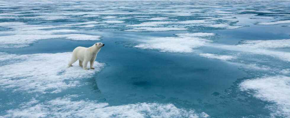 reduce methane emissions to save sea ice