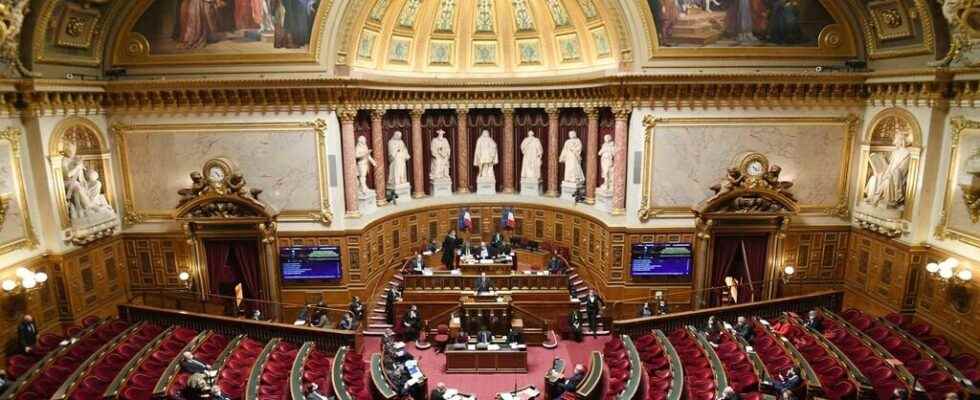 the Senate denounces excessive use of consulting firms by the