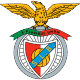 Shield/Flag Benfica