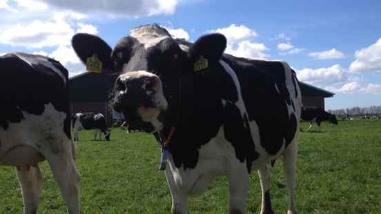 200 families in Soest start their own farm They are