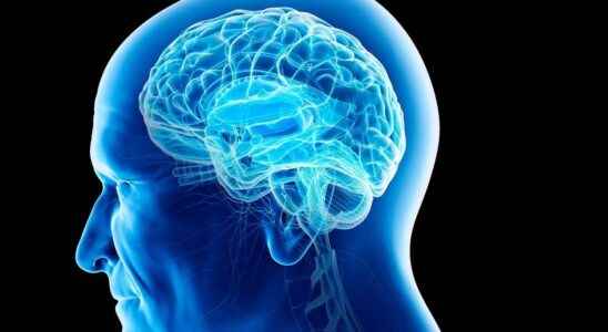 Administer drugs to the brain the blood brain barrier opened by