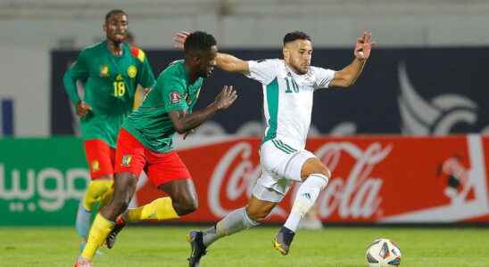 Algeria Cameroon Etoo threatens Belmadi Fifas verdict imminent