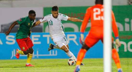 Algeria Cameroon compromising recordings and a replayed match