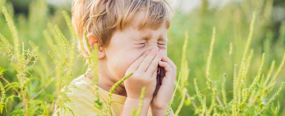 Allergy and desensitization how does it work
