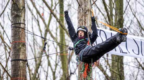 Amelisweerd action group wants to train 3000 tree climbers for