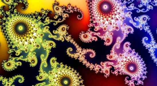 Bio inspirations fractals complexity and emergence