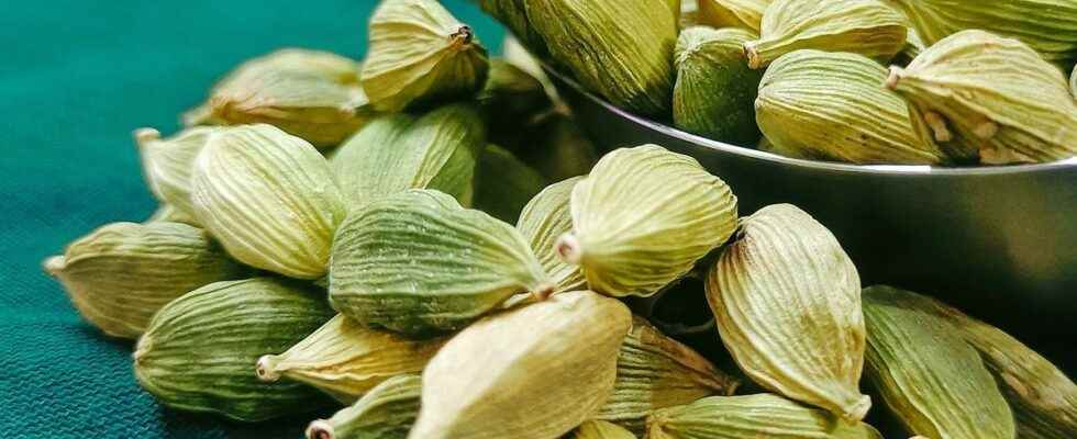 Cardamom a way to fight breast cancer