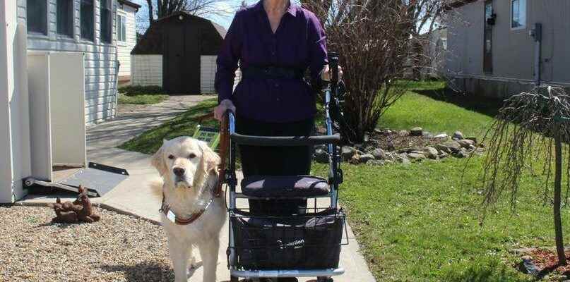 Chatham woman celebrates 50 years having a leader dog