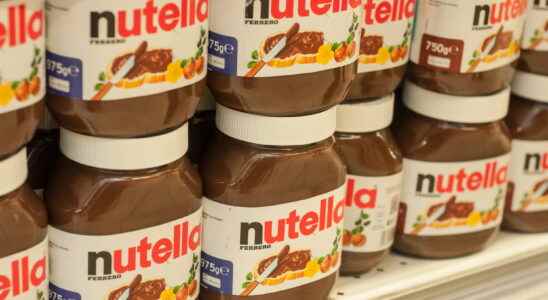 Contaminated Nutella no salmonella reassures Ferrero