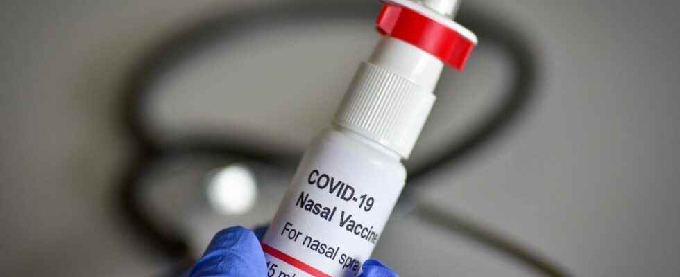 Covid 19 soon an effective nasal spray to prevent and treat