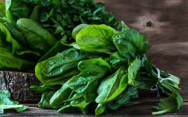 Danger of disease in spinach Risk of food poisoning Do