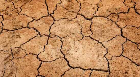 Drought the beginning of the year 2022 is the driest