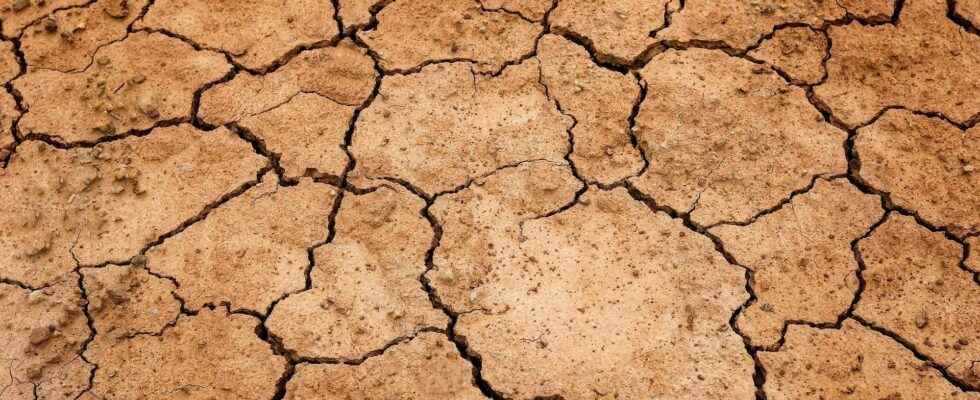 Drought the beginning of the year 2022 is the driest