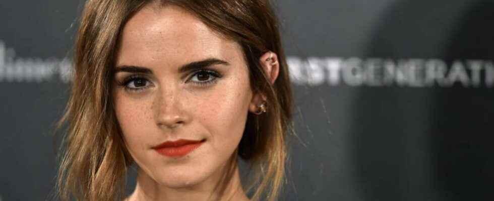 Emma Watson Will Take A Role In The Ataturk Series