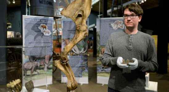 Exhibit brings Norfolks ice age giant to life