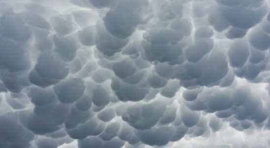 Extraordinary weather phenomenon mammatus
