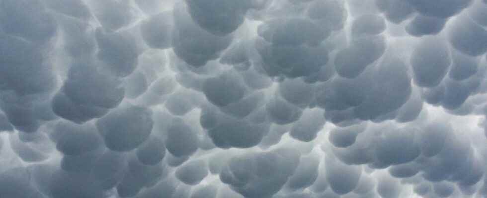 Extraordinary weather phenomenon mammatus