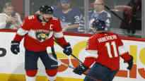 Florida Panthers show another wild rise this time in the