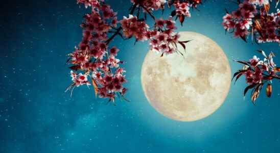 Full Moon 2022 The Effects On Your Sign And Your