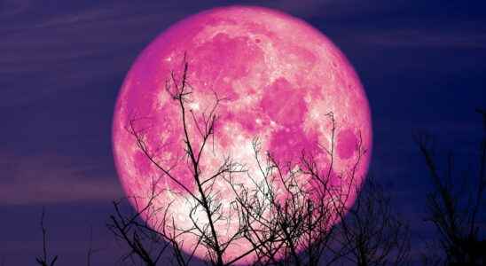 Full moon 2022 April 16 which astrological signs impacted by