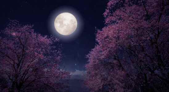 Full moon 2022 what effects of the April pink moon