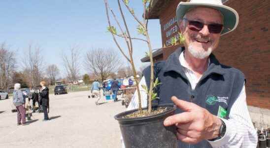 Gardeners in Stratford continue tree planting push with weekend sale