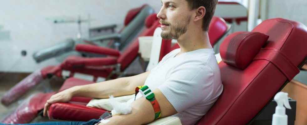 Giving blood regularly has purifying virtues