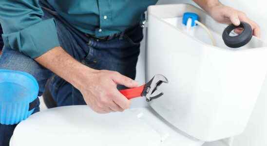 How to repair a toilet flush