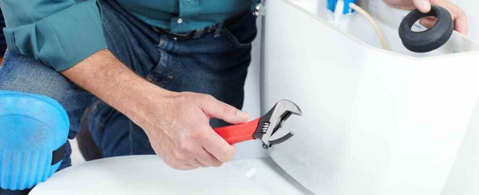 How to repair a toilet flush