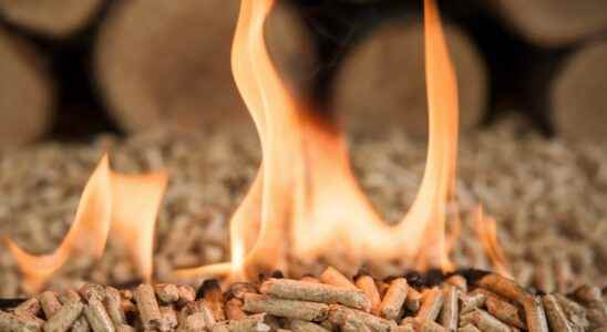 How to use biomass to produce energy