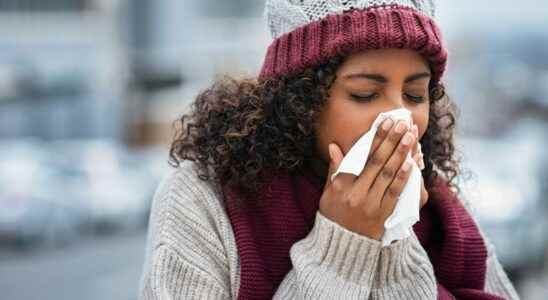 Influenza after five weeks of increase the epidemic stabilizes