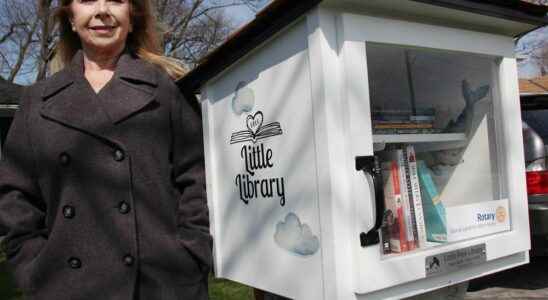 Little free library interest growing in Sarnia Lambton Literacy Lambton
