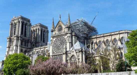 Notre Dame de Paris exceptional discoveries during the excavations of the