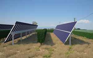 OPA Falck Renewables subscriptions over 3