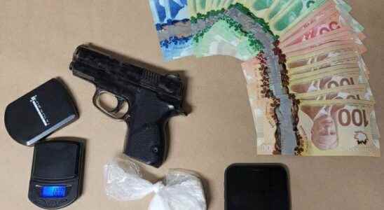 OPP sixteen drugs cash and fake firearm in Simcoe