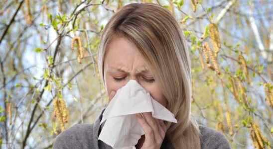 Pollen allergies alert over a large part of northern France