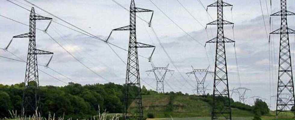 RTE the manager of the French electricity network calls for