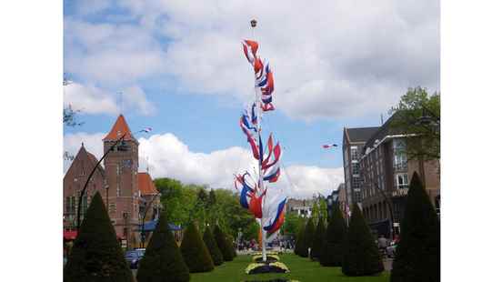 Rotten monumental flagpole in Zeist to be replaced