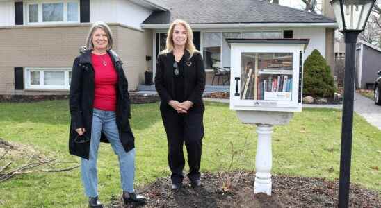 Sarnia Rotarians building little free libraries for community readers