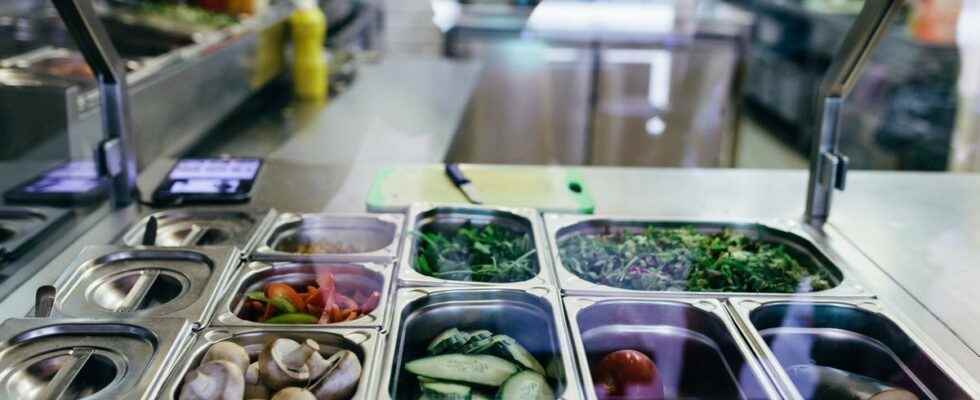 School canteens there should be 3 vegetarian meals a week