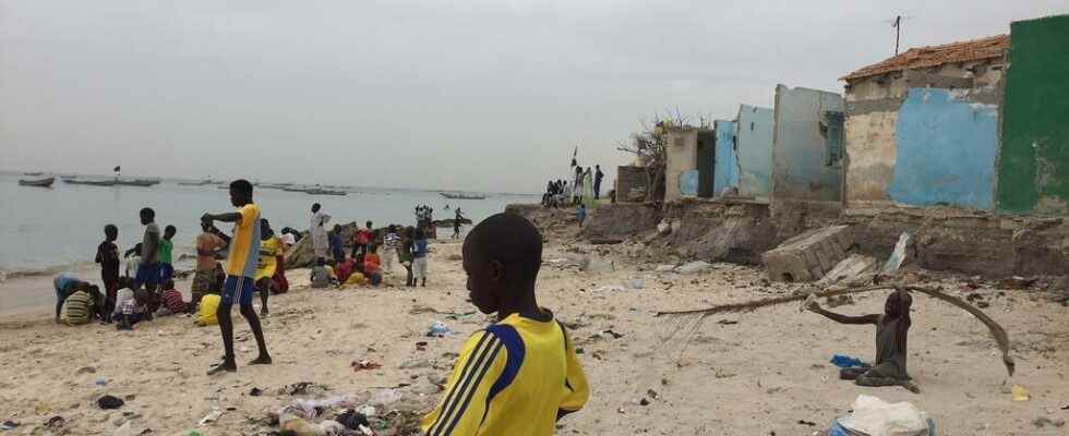 Senegal faced with the fraudulent exploitation of coastal sand