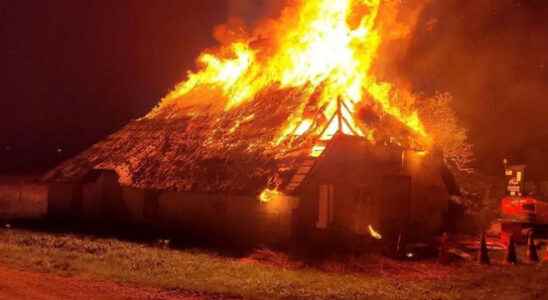 Suspect of arson attacks in Leerdam took revenge on former