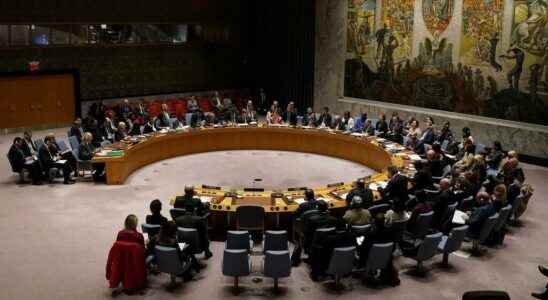 The UN Security Council considers the situation in Mali and