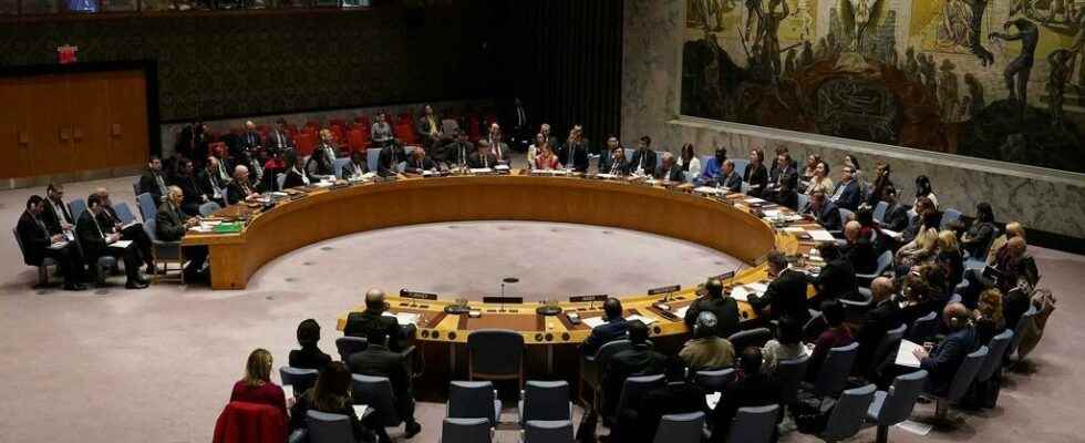 The UN Security Council considers the situation in Mali and