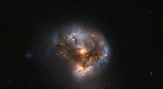 The most distant cosmic megalaser has been discovered by MeerKAT