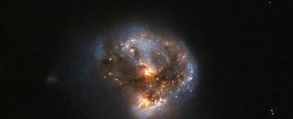 The most distant cosmic megalaser has been discovered by MeerKAT