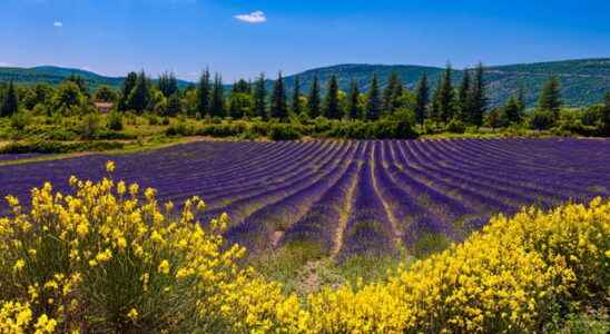 The mythical places of Provence