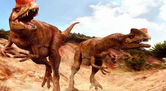 Top 10 dinosaurs you would never want to come across